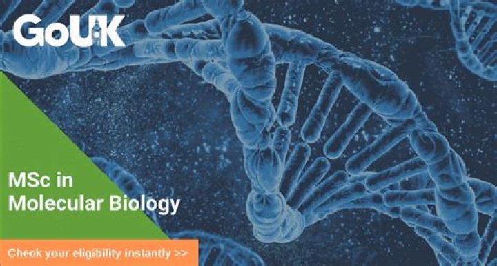 Where can I study molecular biology?