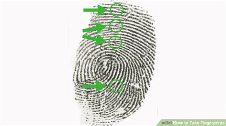 Where can you get your fingerprints done?