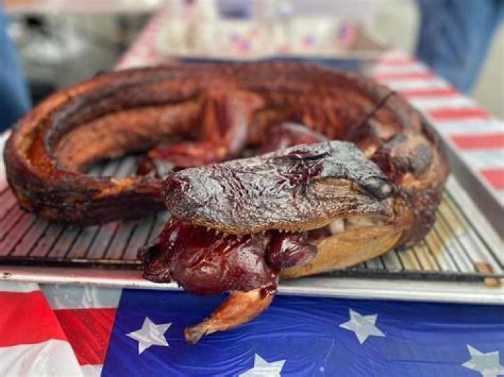 Where can you hold an alligator in New Orleans?