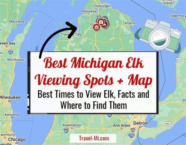 Where can you hunt elk in Michigan?