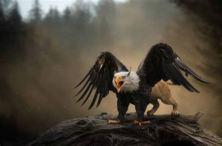 Where did the legend of the Griffin originate?