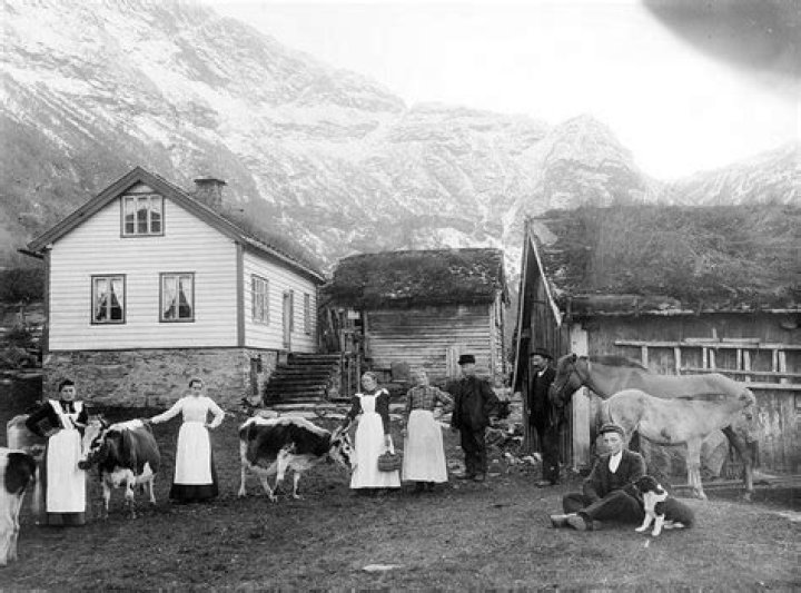 Where did the Norwegians come from?