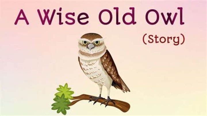 Where did the saying wise old owl come from?