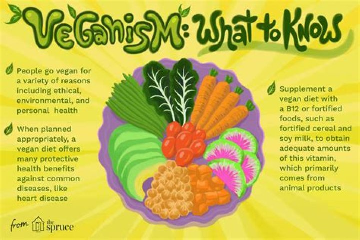 Where did vegetarianism come from?
