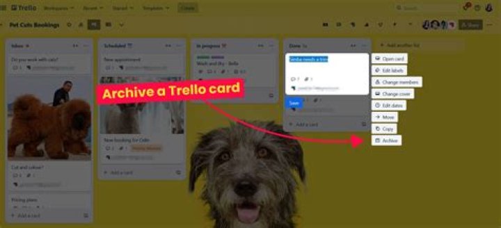 Where do archive cards go in trello?