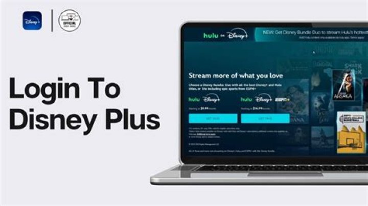 Where do I find my Disney plus log in?