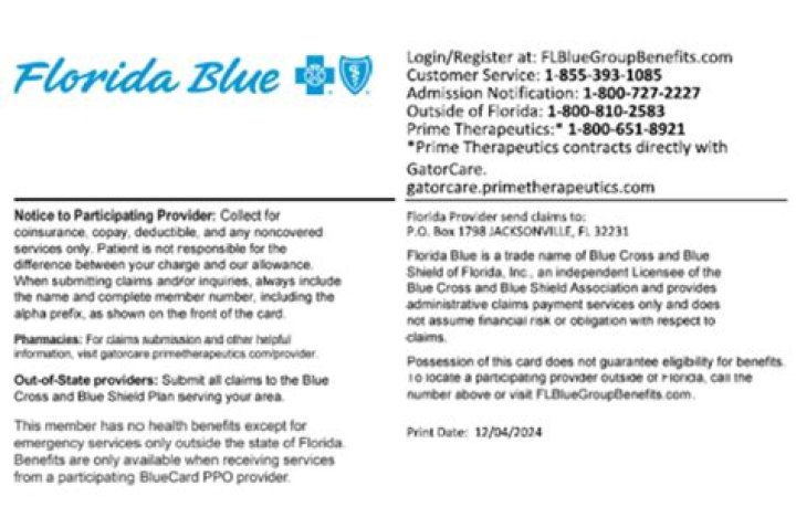 Where do I send my Florida Blue payment?
