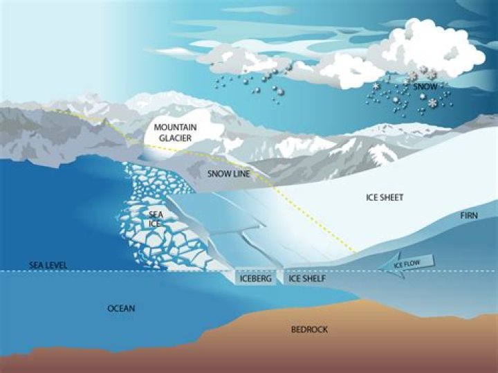Where do icebergs end up?