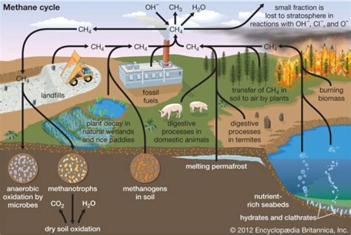 Where do methane bubbles come from?