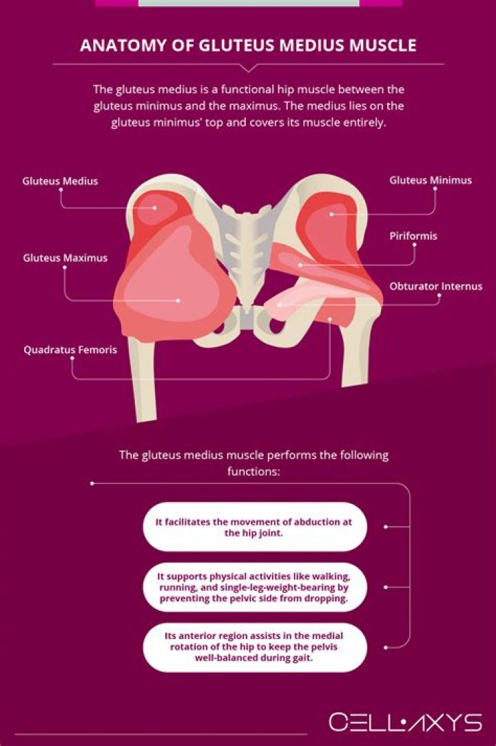 Where do you feel gluteus medius pain?