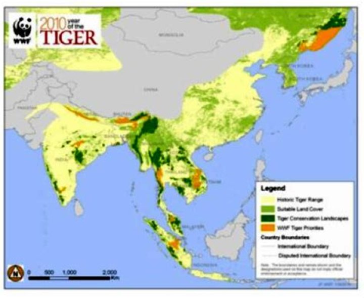 Where do you see tigers in Thailand?