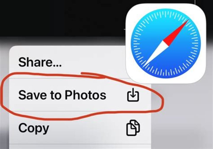 Where does an iPad save images?