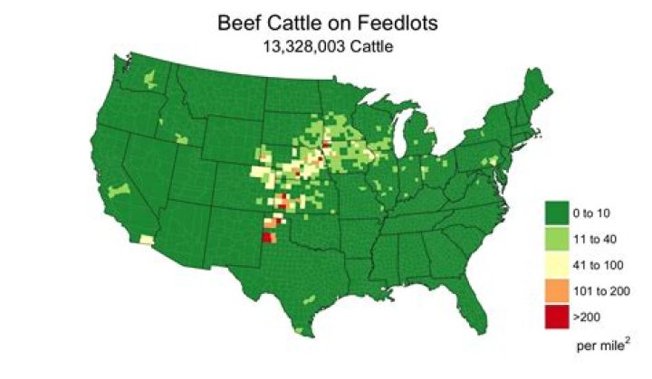 Where does hyvee get its beef?