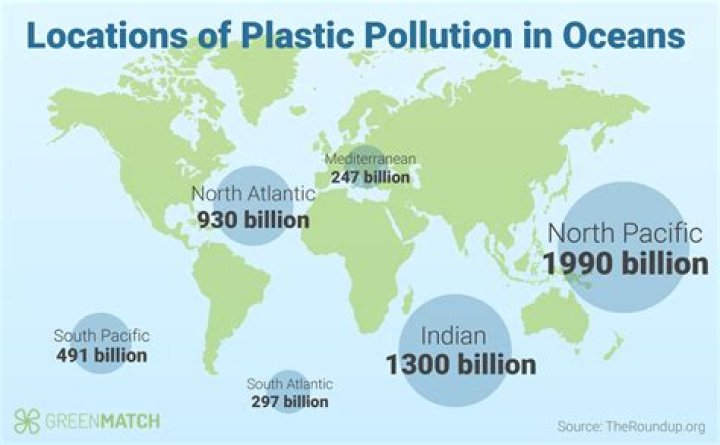 Where does most of the world's rubber come from?