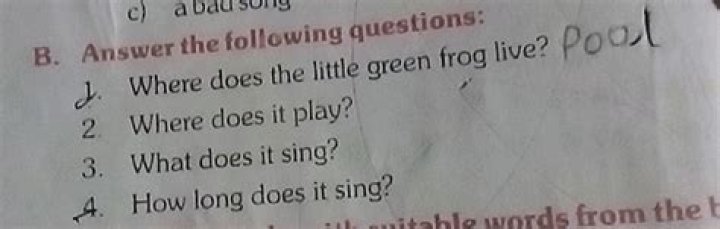 Where does the little green frog live?