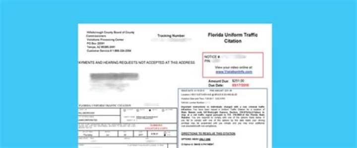 Where does traffic ticket money go Florida?