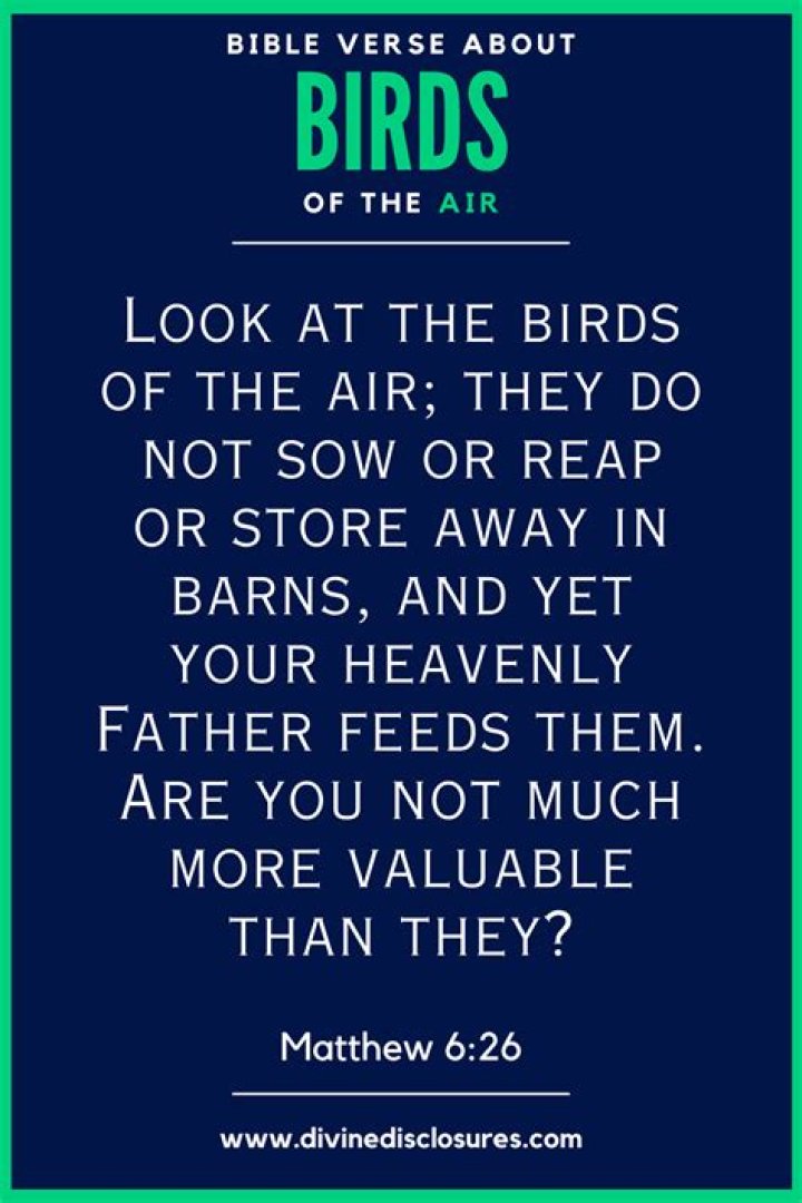 Where in the Bible does it talk about God feeding the birds?
