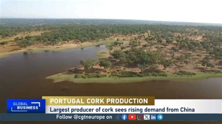 Where is Cork produced in Portugal?
