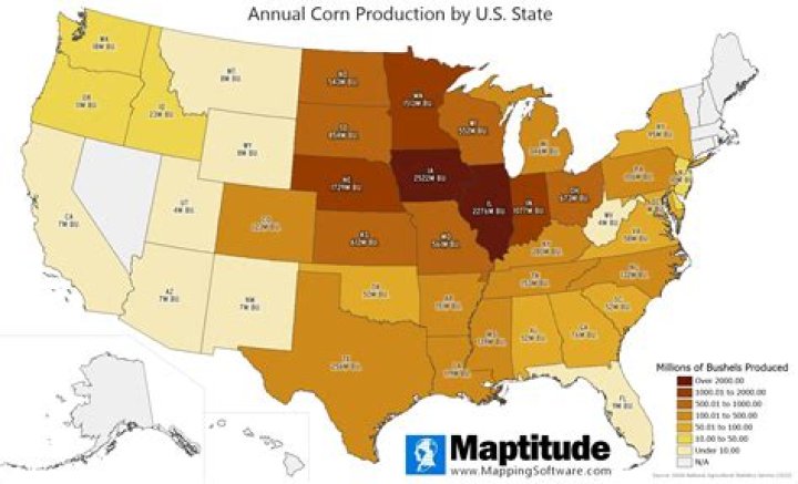 Where is corn produced in the US?