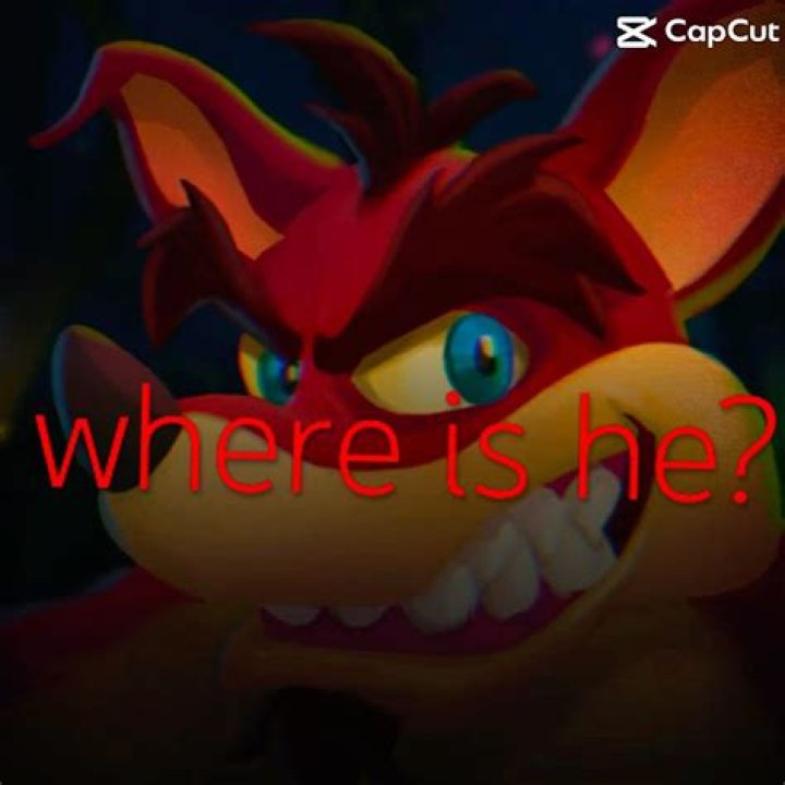 Where is crunch in crash 4?