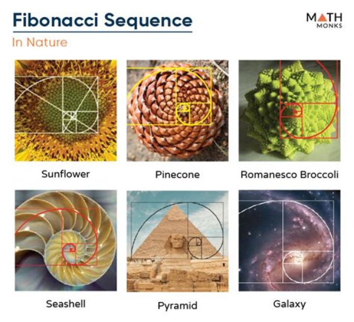 Where is geometric sequence used in real life?