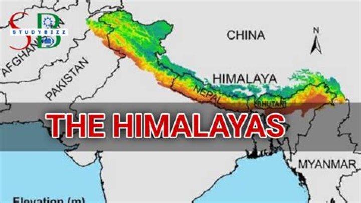Where is Himalayan forest located?