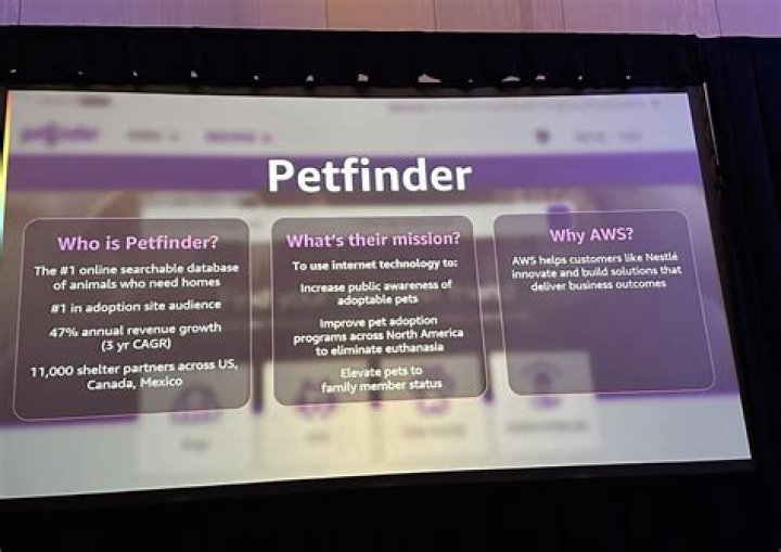 Where is petfinder located?