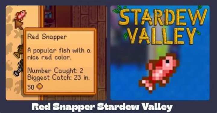 Where is Red Snapper in Stardew Valley?
