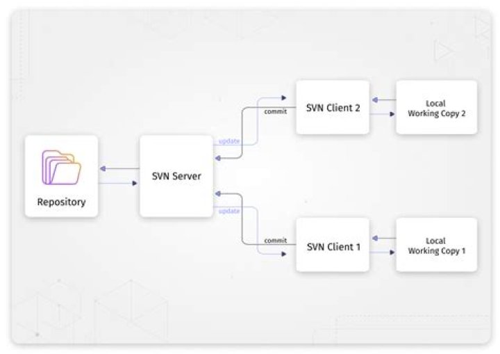 Where is SVN data stored?