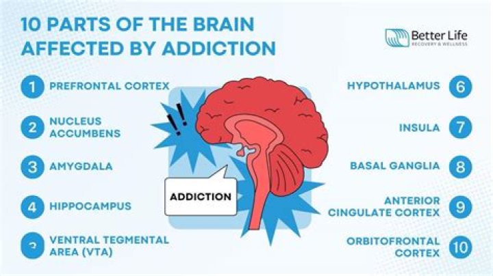Where is the addiction pathway in the brain?
