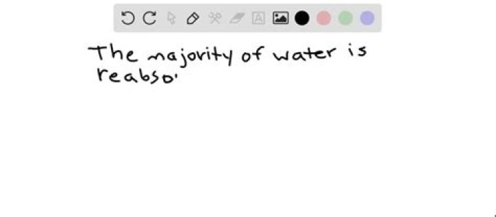 Where is the majority of water reabsorbed?