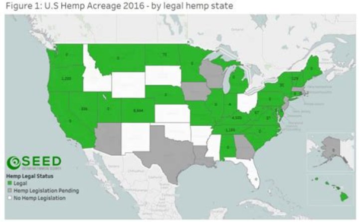 Where is the most hemp grown?