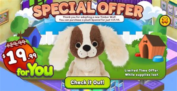 Where is the my pets window on Webkinz?
