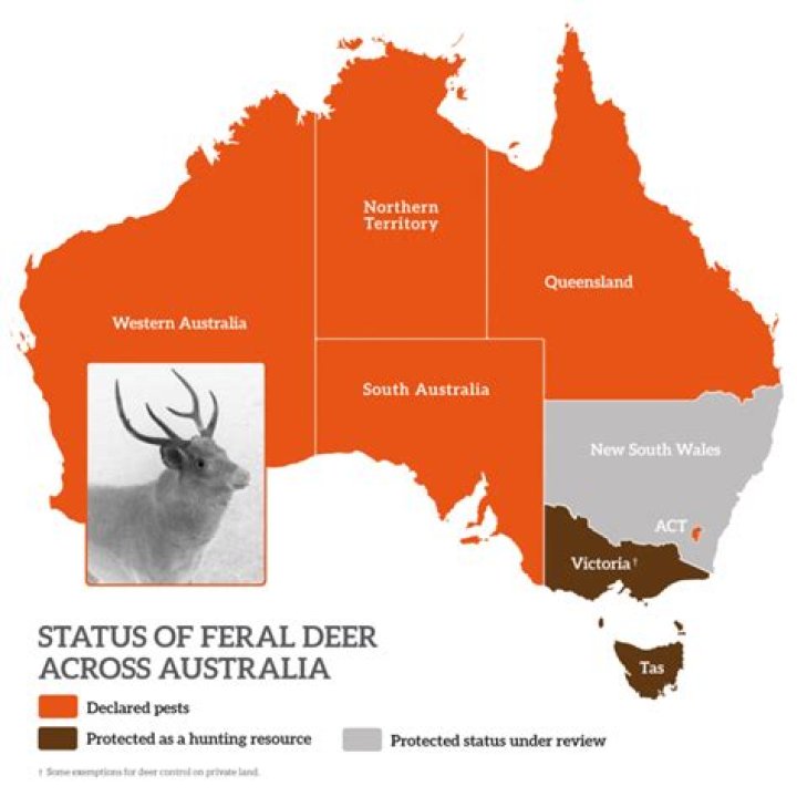 Where is the red deer a problem?