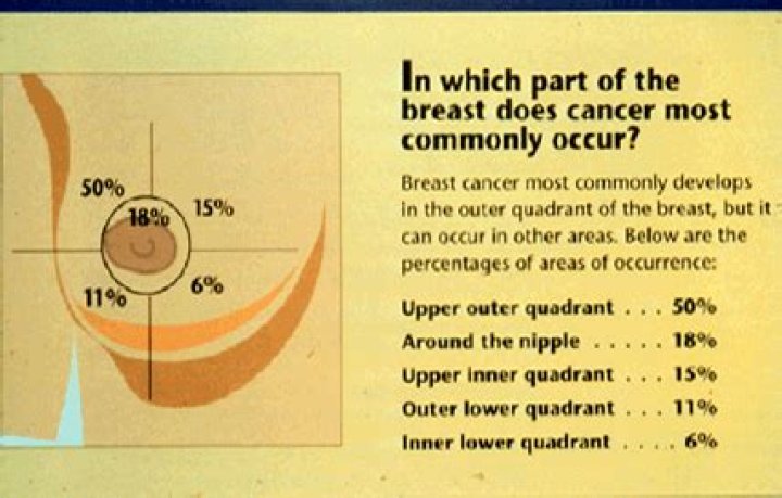 Where is the superior quadrant of the breast?