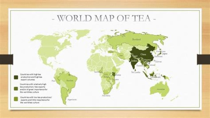 Where is Zest Tea located?