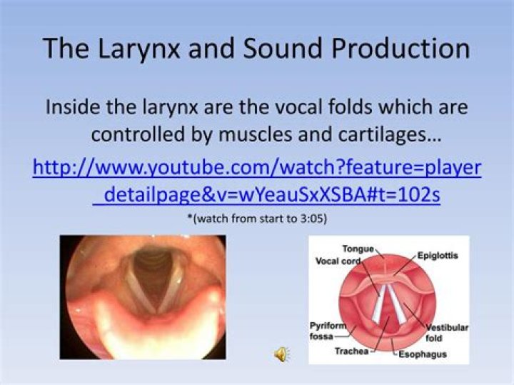 Where should the larynx be when singing?