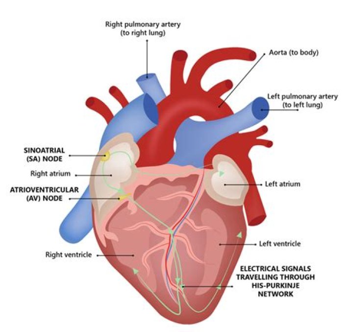 Where the Heart Is time period?