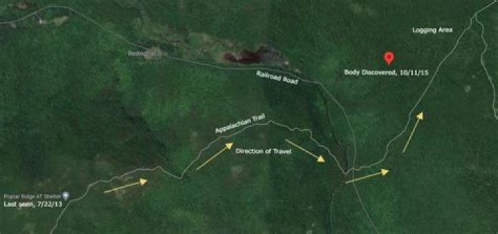 Where was Geraldine largay found?