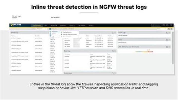 Which all types of logs can be viewed on Palo Alto Ngfw?