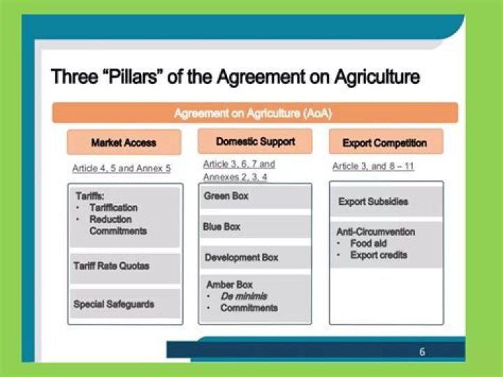 Which among the followings is the main pillars of WTO agreement on agriculture?