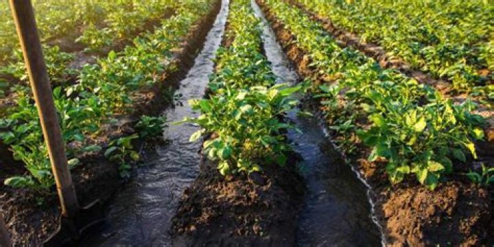 Which are the modern methods of irrigation What are their advantages?