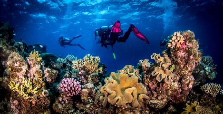 Which camera is best for scuba diving?