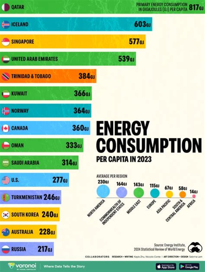 Which country consumes the most fuel?