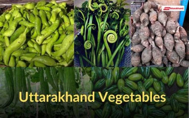 Which crop is famous in Uttarakhand?