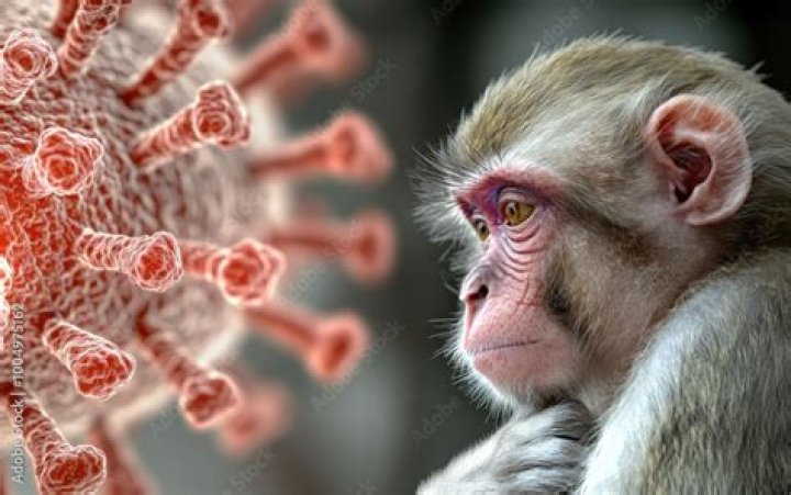 Which disease is spread by monkeys?
