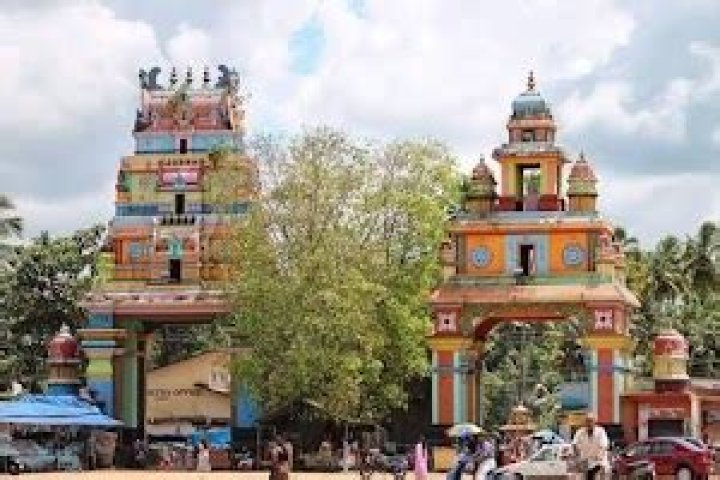 Which district is kayamkulam?