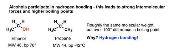 Which has higher boiling point alcohol or amine?