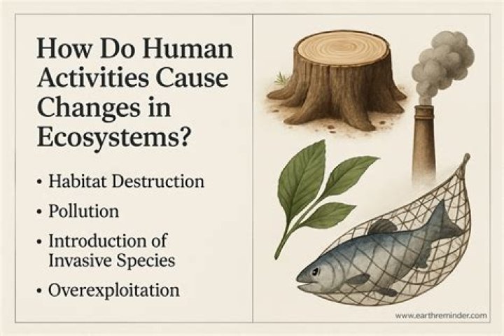 Which human activities cause sudden changes to Earth's surface?