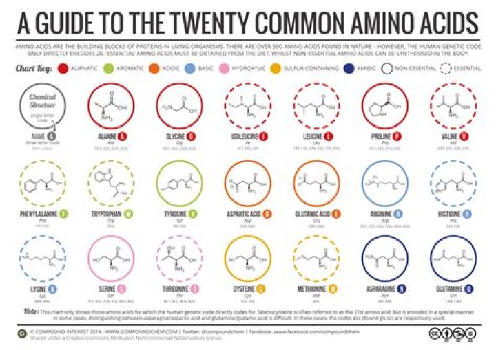 Which is affected by the order of amino acids?